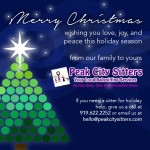 Happy Holidays from Peak City Sitters!